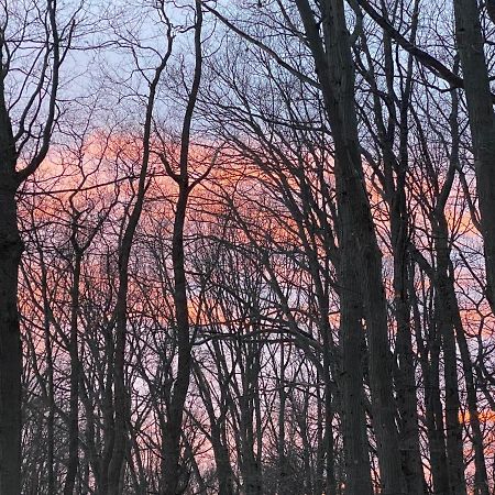 The Sanctuary At Deer Dune , Saugatuck Exteriér fotografie